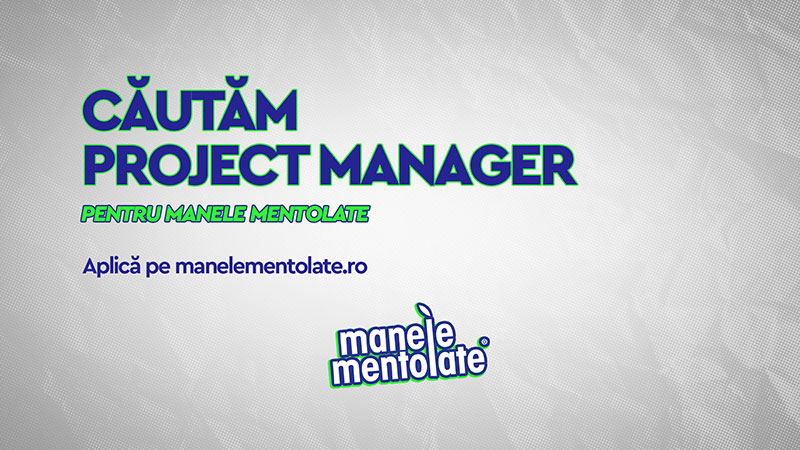 Mentolate Angajare Project Manager | Manele Mentolate