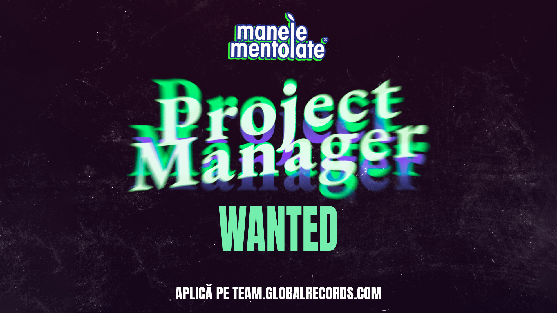 Mentolate Angajare Project Manager | Manele Mentolate